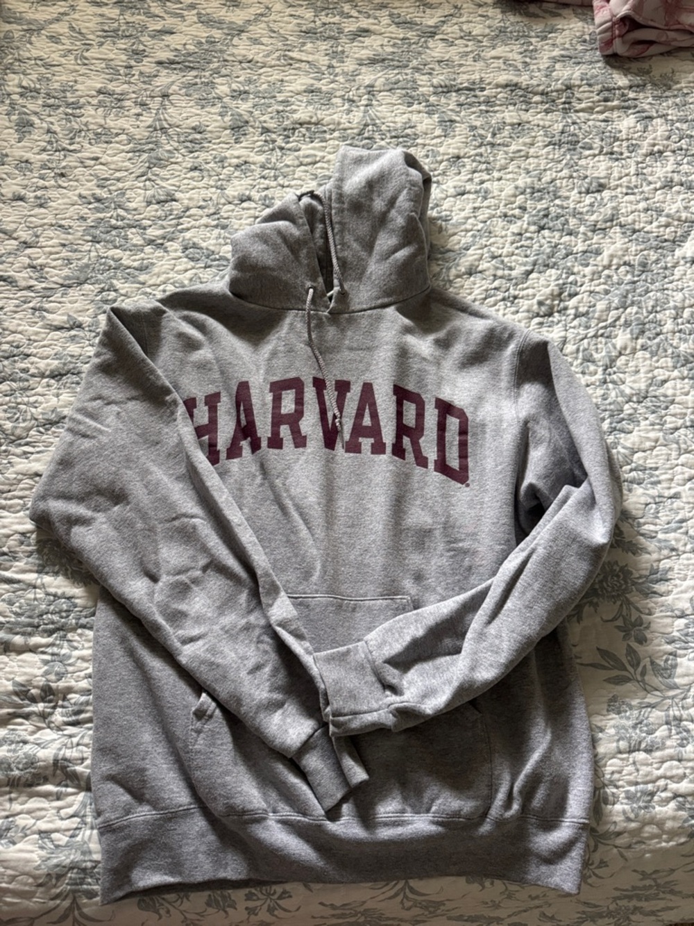 Champion Harvard Hoodie. M